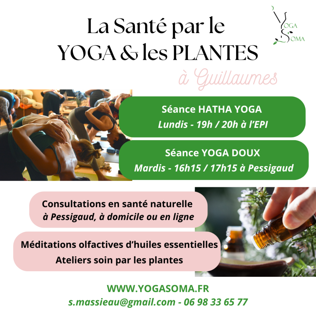 Yoga 2025 Guillaumes et consultation
