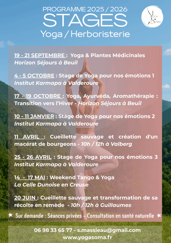 Programme 25 26 Stage Yoga et herboristerie